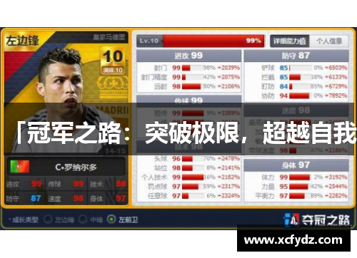 「冠军之路：突破极限，超越自我」